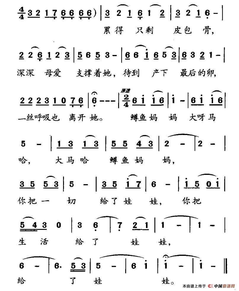 輪