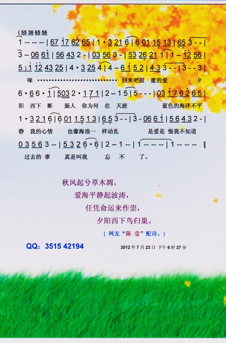 硾ס