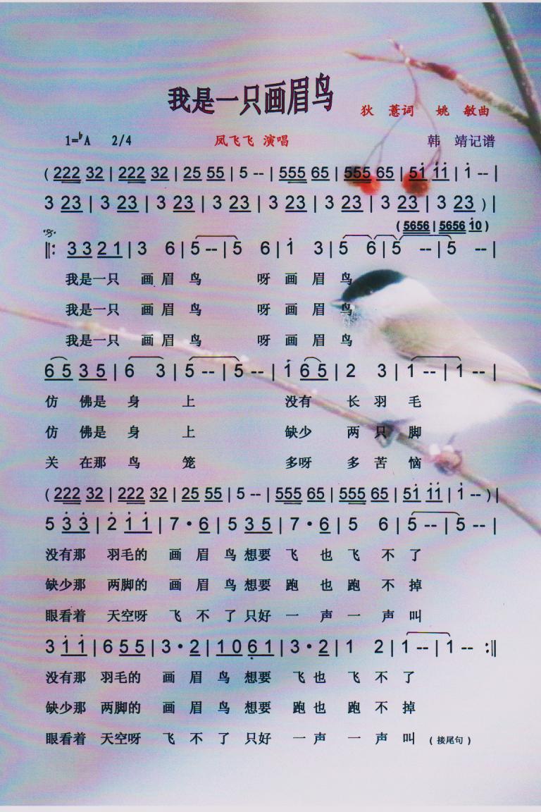 һֻü񡾲ס