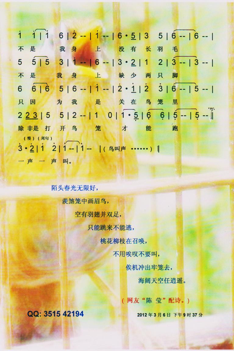һֻü񡾲ס