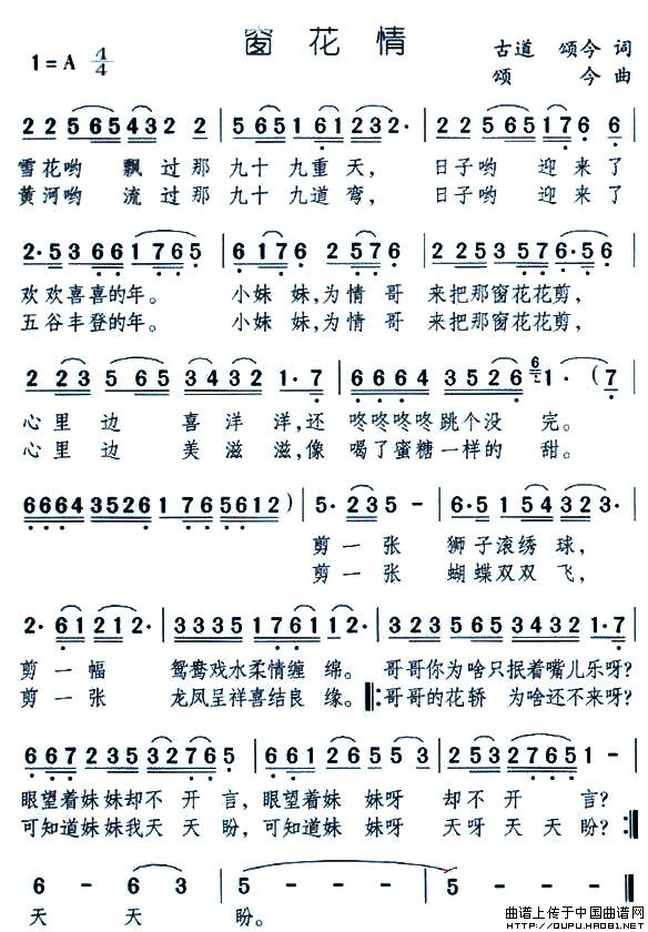 鼪