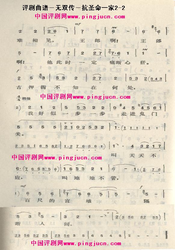˫