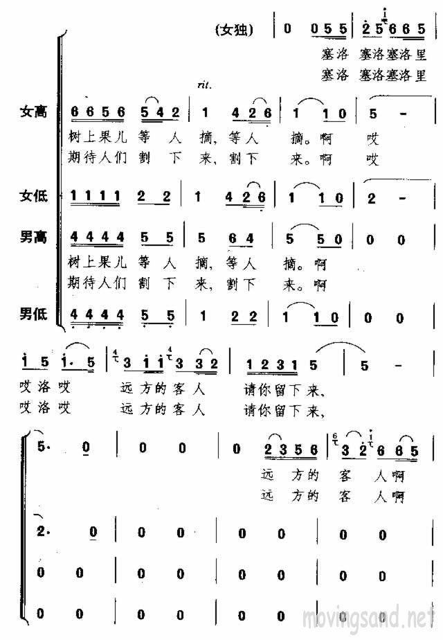 ԶĿ 輪