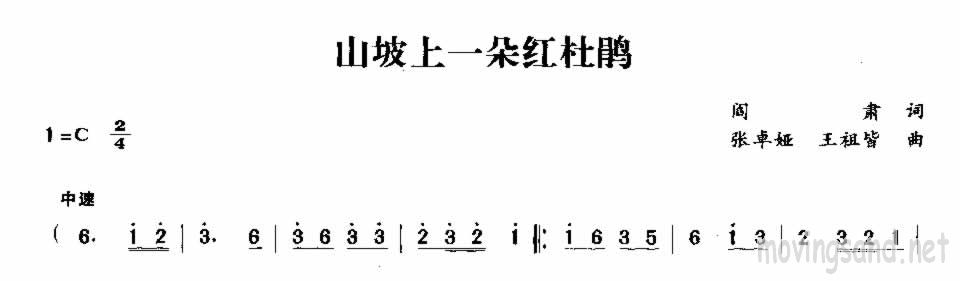 ɽһž鼪