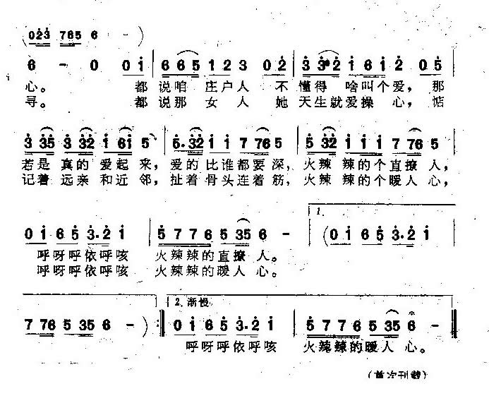 ǣӾ裩
