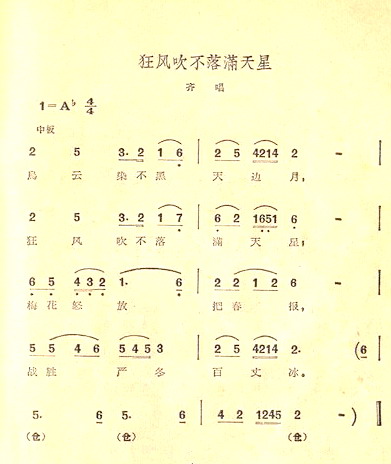 紵Ǽ