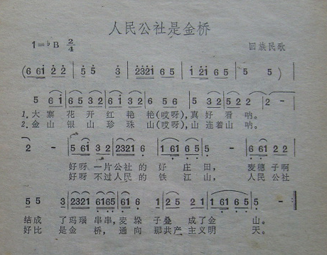 ǽţ裩