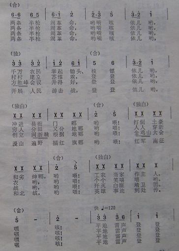 ǹָ裩