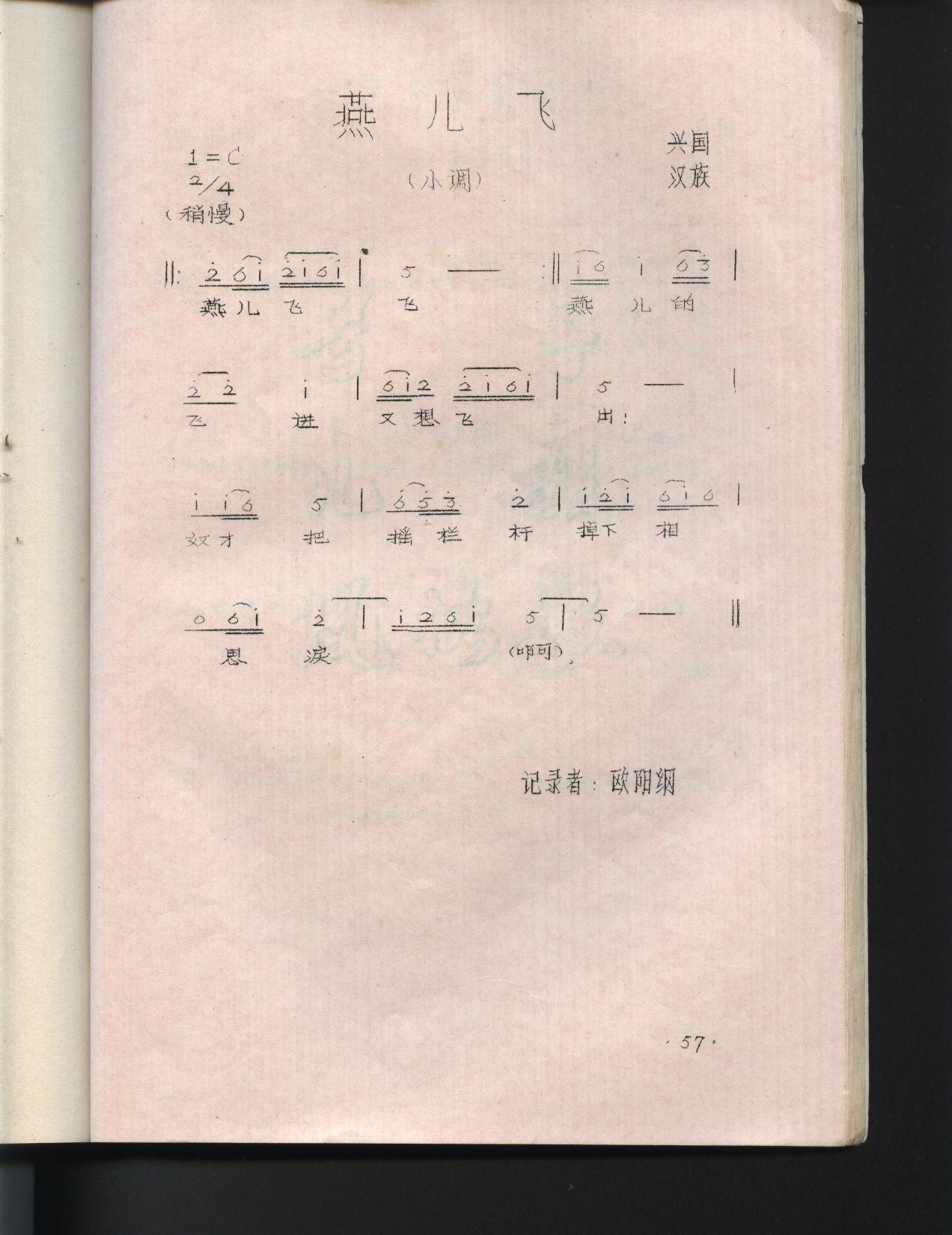 ɣ˹ɽ裩