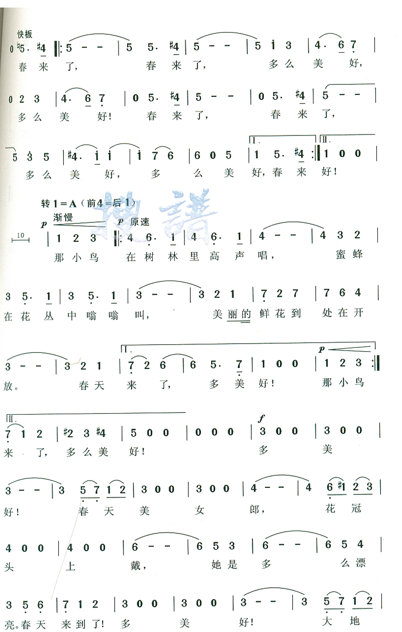 ɫĶ觺Ӽ