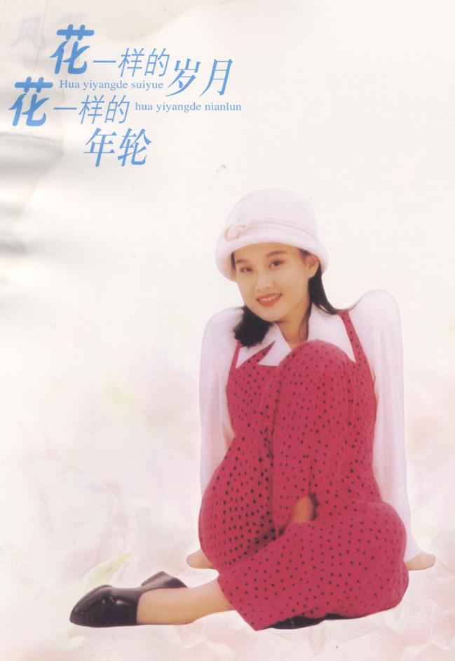 ݵĸ輪