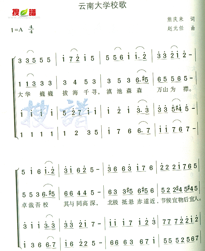 ϴѧУ輪