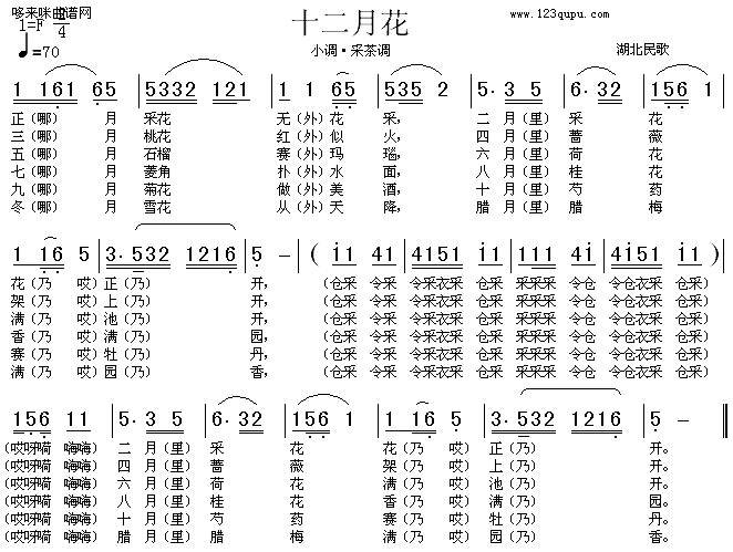 ʮ»裩