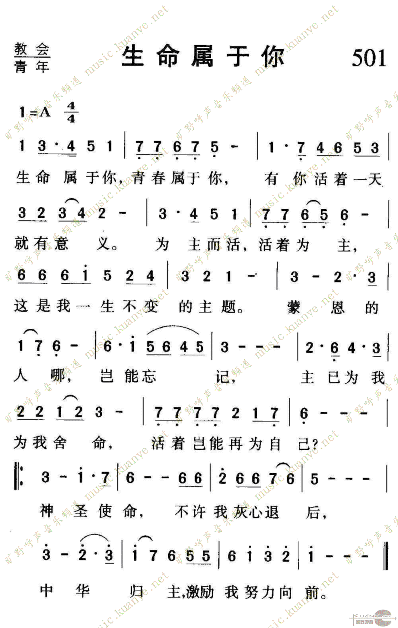 501㼪