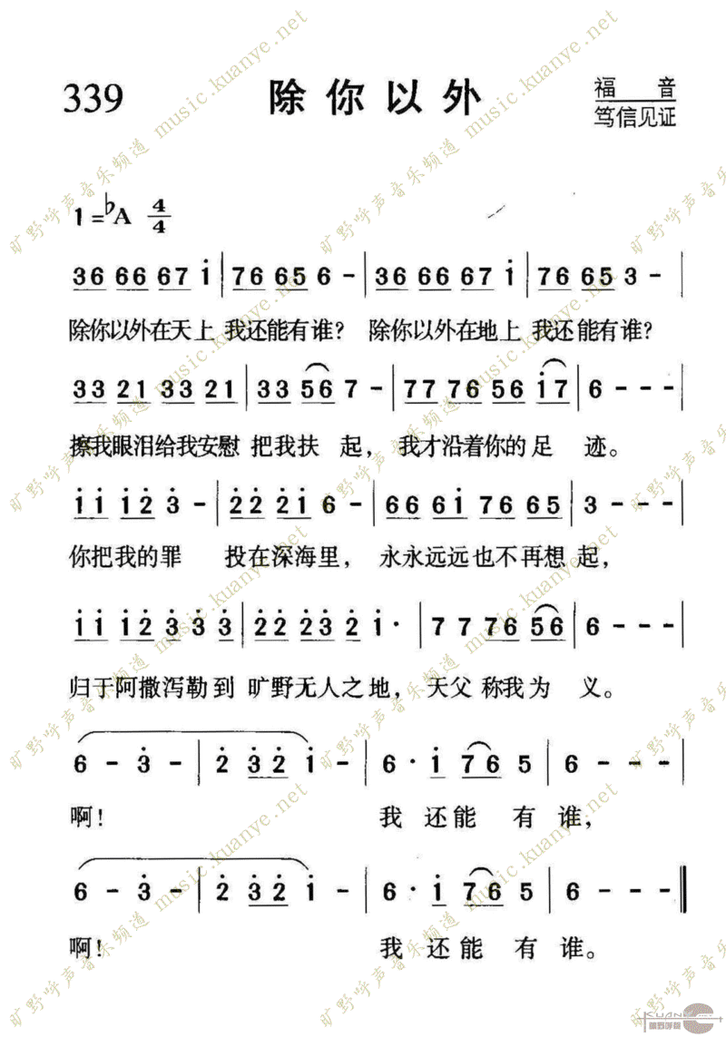 339⼪