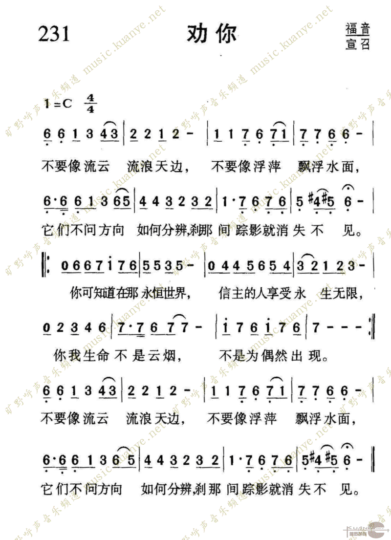 231Ȱ㼪