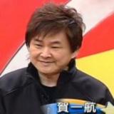 贺一航