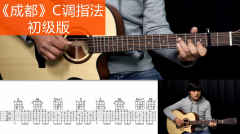 《成都》赵雷吉他弹唱教学C调简单版 酷音小伟吉他教学自学教程